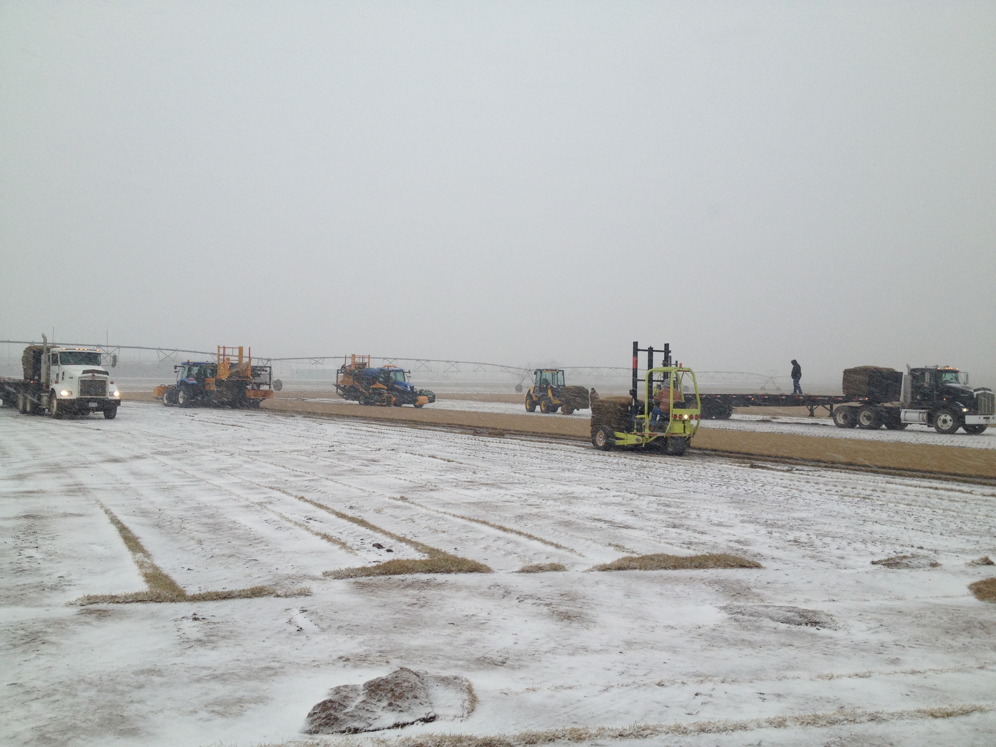 Where To Buy High-Quality Sod In Junction City KS
