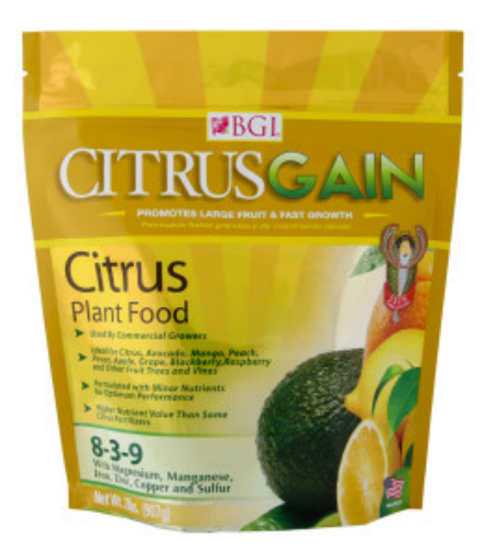 Tips For Citrus Tree Care