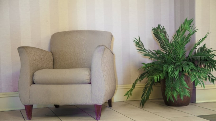 Give Your Treasured Pieces a New Look with Reupholstering
